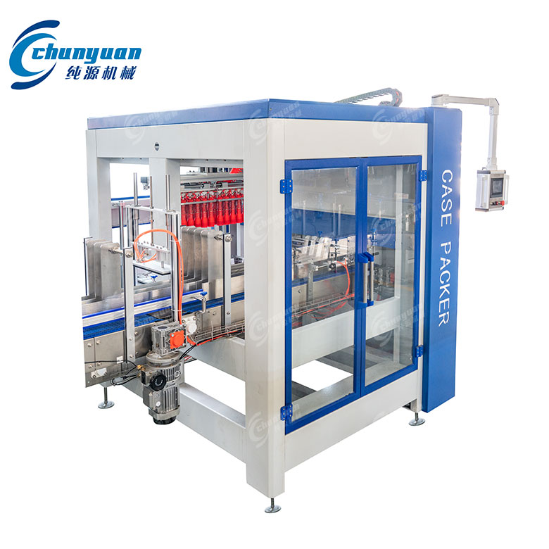 自動抓取式裝箱機(jī)