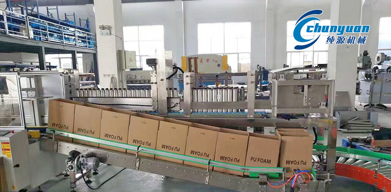 裝箱機，挑選裝箱機，純源裝箱機，純源機械